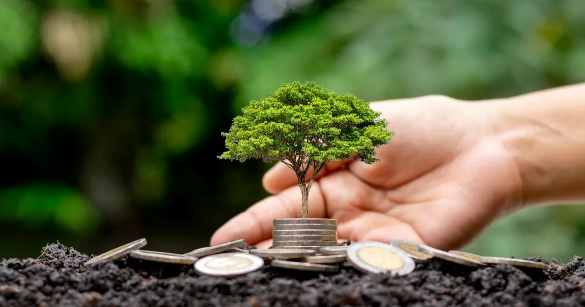 fenntartható, alacsony költségű kertművelés