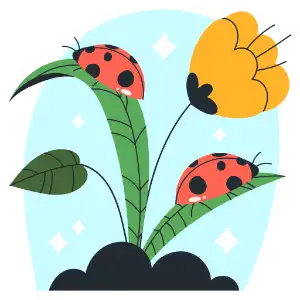 virág és katicák ikon