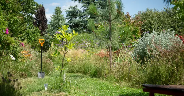 nyári kerti hangulat