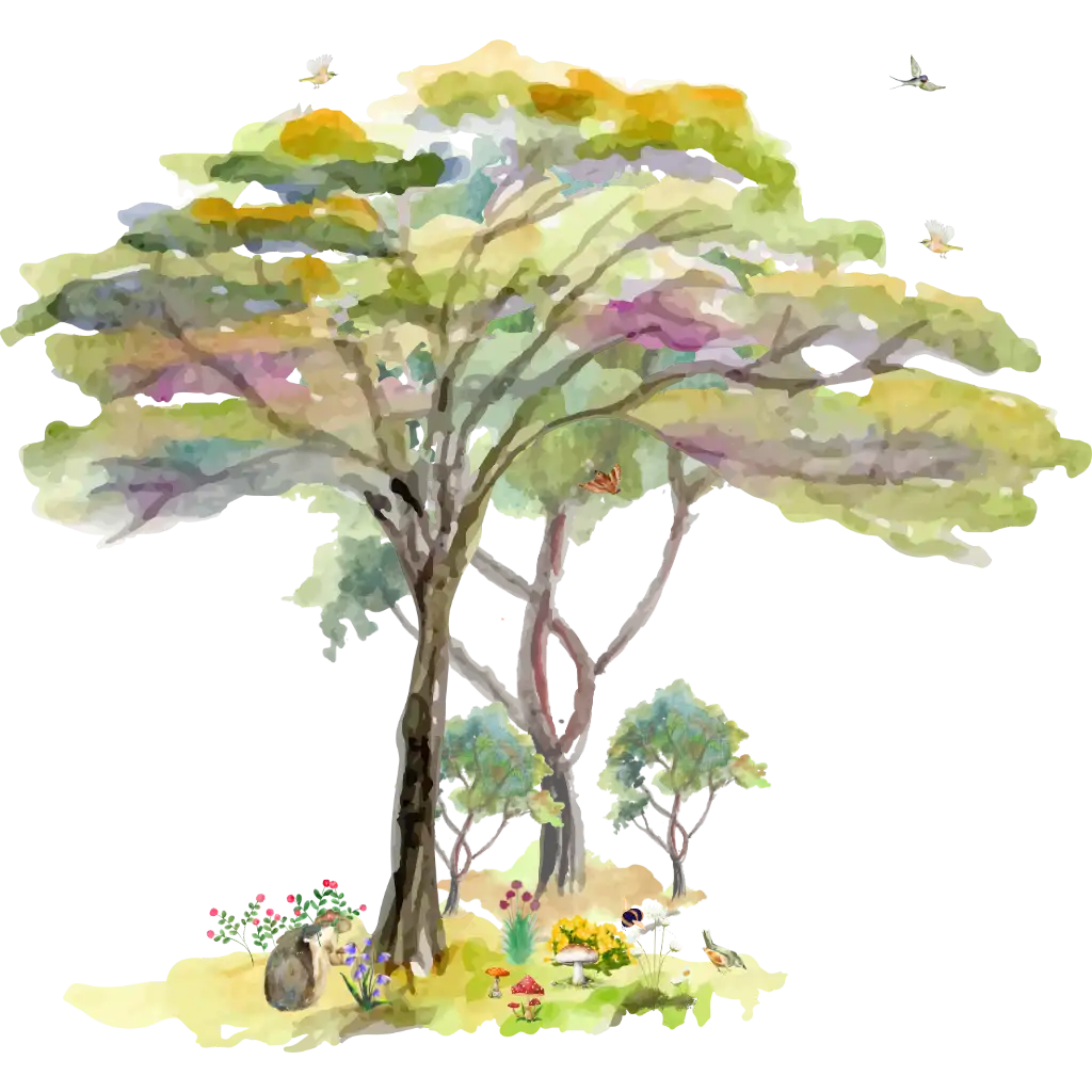 akvarell erdei tájkép