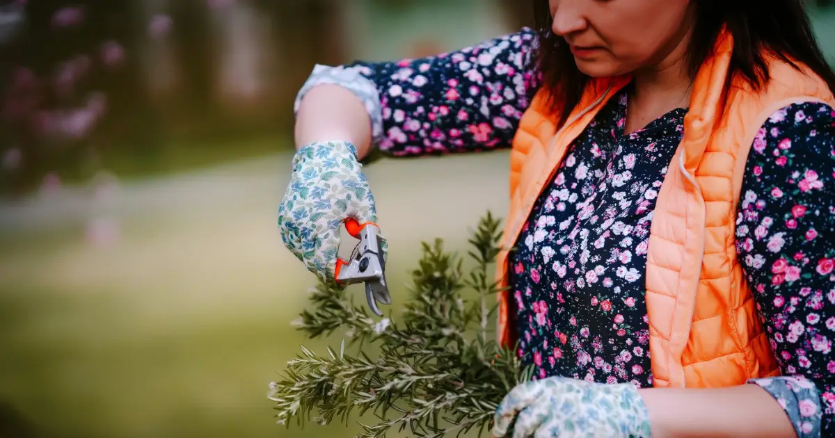 V. Topor Erika - Tabdi blog