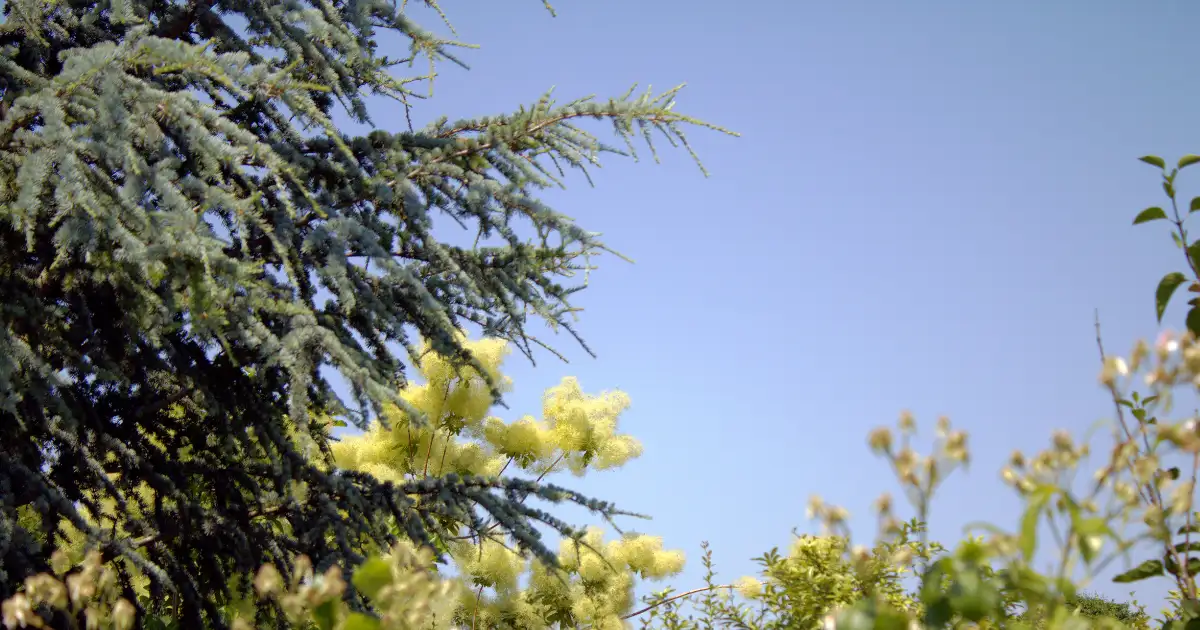 tudatos kertész blog