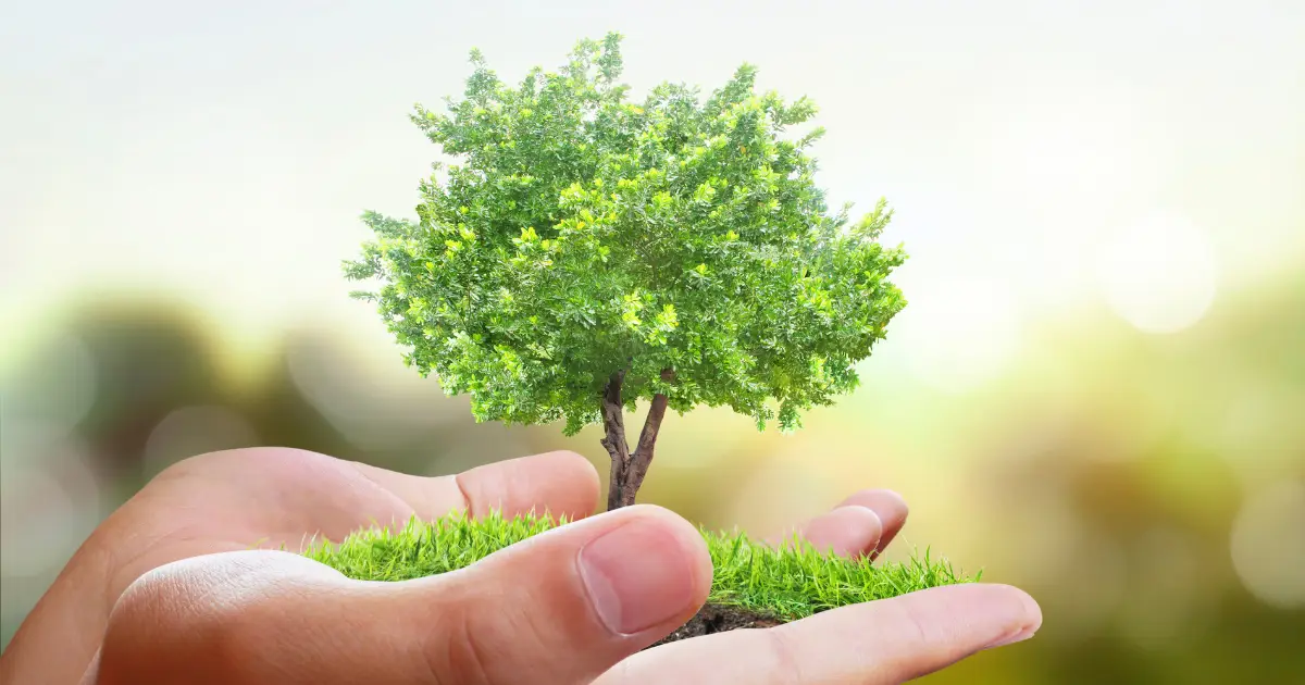 fenntartható kertek versenye blog