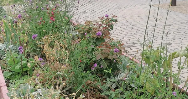 magaságyás a kapostüskevári állomáson