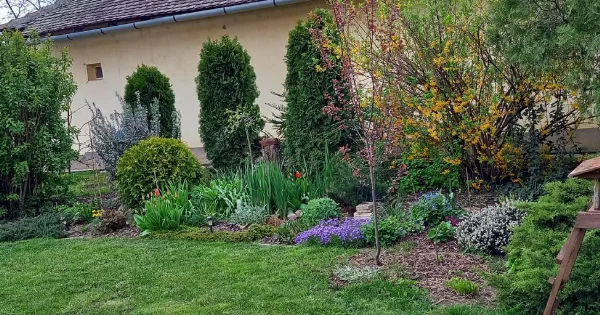 Vígh Anikó kertje Mezőtúrról